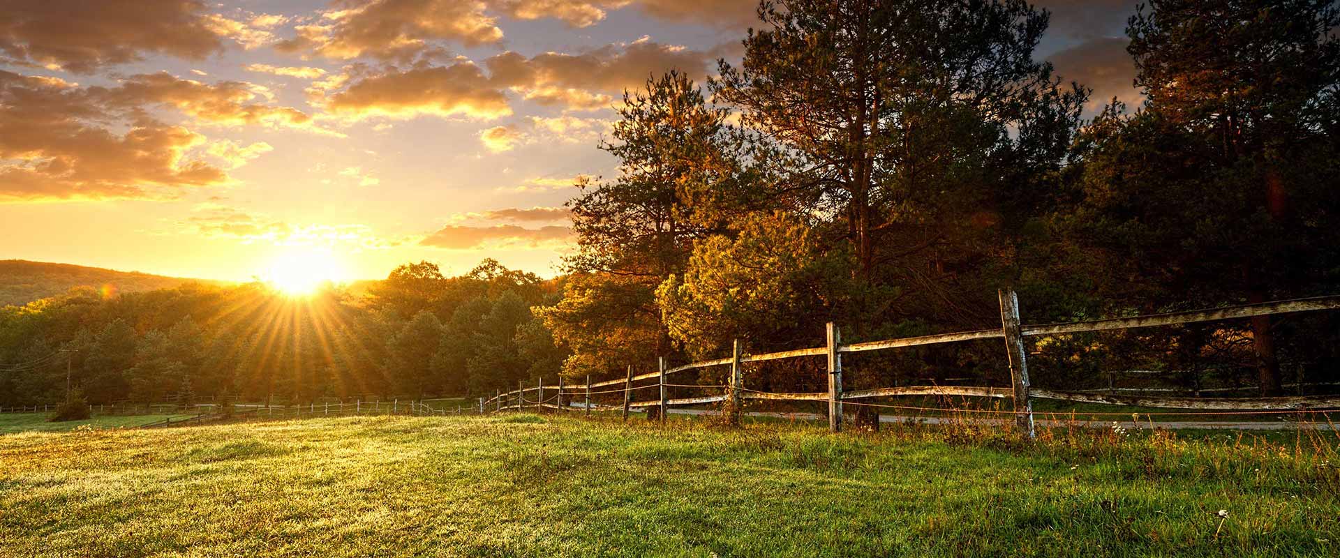 Sonnenuntergang über einer Weide am Waldrand